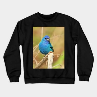 Indigo Bunting 2022 Crewneck Sweatshirt